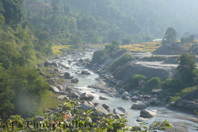 Bach
05.11.2012
Keywords: Nepal Chitwan