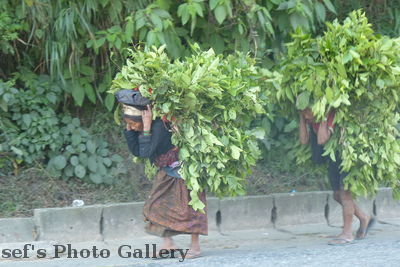 Trägerinnen
05.11.2012
Trägerinnen trasportieren Baumaterial
Schlüsselwörter: Nepal Chitwan
