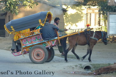 Wagen
05.11.2012
Schlüsselwörter: Nepal Chitwan