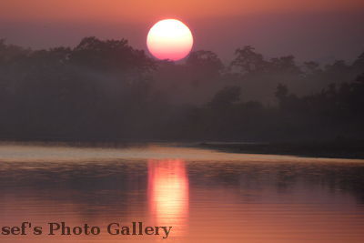 Sonnenuntergang 1
05.11.2012
Schlüsselwörter: Nepal Chitwan
