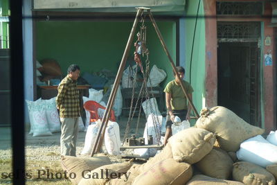 Handel
06.11.2012
Schlüsselwörter: Nepal Chitwan