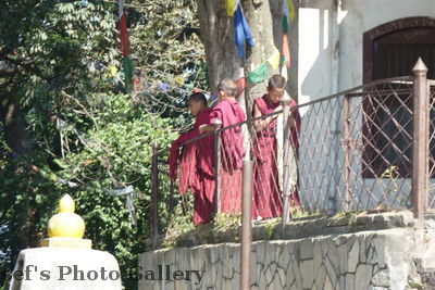 Swayambhunath 3
08.11.2012
Novizen bzw. junge Mönche
Schlüsselwörter: Nepal Kathmandu