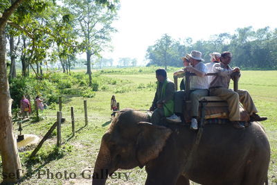 Elefant 1
05.11.2012
Ritt auf einem Elefanten
Schlüsselwörter: Nepal Chitwan